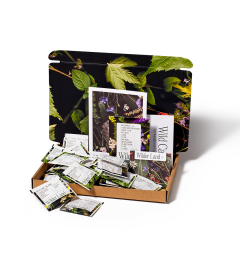 Wilder Land thee – Proefpakket